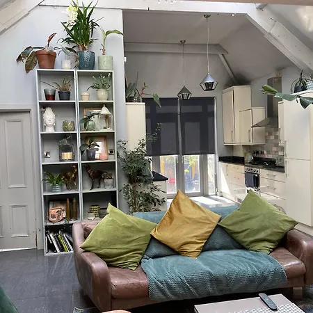 Quirky House-3